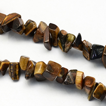 Natural Tiger Eye Stone Bead Strands, Chip, 8~18x6~12x3~7mm, Hole: 1mm, about 160pcs/strands, 34.6 inch