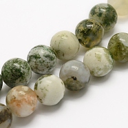 Natural Tree Agate Beads Strands, Round, 8mm, Hole: 1mm, about 48pcs/strand, 15.3 inch(39cm)(X-G-K194-8mm-02)