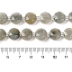 Natural Labradorite Bead Strands(G-C116-A10-01)-5