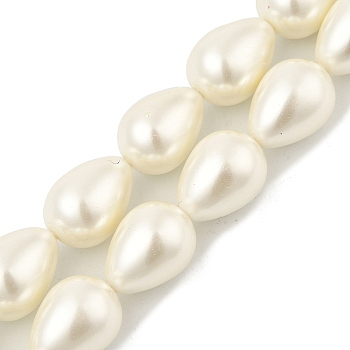 Teardrop Shell Pearl Beads Strands, Polished, Beige, 16x12mm, Hole: 1mm, about 25pcs/strand, 15.94''(40.5cm)