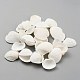 Natural Shell Beads(SSHEL-WH0001-47C)-1