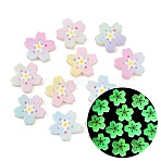 Luminous Printed Opaque Resin Beads, Flower, with Enamel, Glow in the Dark, Mixed Color, 23.5x24.5x7mm, Hole: 2.5mm(RE-CBAC4C7-26)