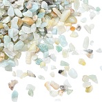 Natural Flower Amazonite Chip Beads, No Hole/Undrilled, 2~8x2~4mm, about 8500pcs/500g(G-O103-11)