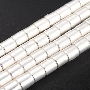 Non-magnetic Synthetic Hematite Beads Strands, Galvanic Plating(Color Retention for 1 Year), Column, Silver Plated, 6x6mm, Hole: 1mm, about 66pcs/strand, 15.91 inch(40.4cm)(G-B014-03S)