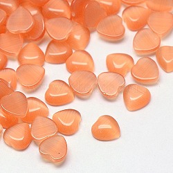 Cat Eye Cabochons, Heart, Light Salmon, 10x10x2.5mm(CE-J003-10x10mm-15)