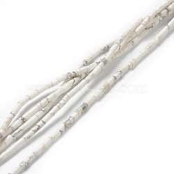 Natural Howlite Beads Strands, Column, 4.3~5.6x2.3~2.5mm, Hole: 0.9mm, about 82~86pcs/strand, 14.96~17.71 inch(38~45cm)(G-B004-A11)
