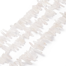 Natural Quartz Crystal Pointed Beads Strands, Frosted, Bullet, Faceted, 14~51x4~13x4~12mm, Hole: 0.8mm, about 52~66pcs/strand, 15.5 inch~15.9 inch(39.5~40.5cm)(G-L484-03)