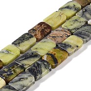 Natural Yellow Turquoise(Jasper) Beads Strands, Rectangle, 13x18x6mm, Hole: 0.8mm, about 22pcs/strand, 15.75''(40cm)(G-M420-M08-02)