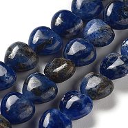 Natural Sodalite Beads Strands, Heart, 10x10x4.5~5mm, Hole: 0.7mm, about 20pcs/strand, 7.28''~7.48''(18.5~19cm)(G-P528-C09-01)