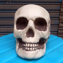Halloween Theme Display Decoration, Resin Skull Statue, Old Lace, 130x190x150mm(SKUL-PW0001-062C)