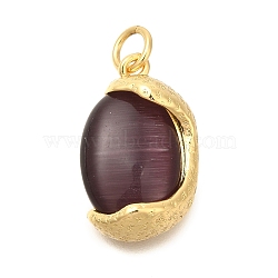 Brass Pendants, with Cat Eye, Real 14K Gold Plated, Egg, 18.5x11x6mm, Hole: 3mm(KK-U040-01G-04)