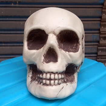 Halloween Theme Display Decoration, Resin Skull Statue, Old Lace, 130x190x150mm