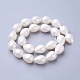 Electroplate Shell Pearl Beads Strands(BSHE-O019-05)-2