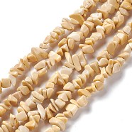 Natural Yellow Jade Chip Beads Strands, 5~19.5x3~8.5x1.5~7.5mm, Hole: 1mm, about 221~293pcs/strand, 31.10~32.68 inch(79~83cm)(G-G905-08)