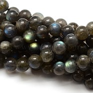 Grade AA Natural Gemstone Labradorite Round Beads Strands, 8mm, Hole: 1mm, about 48pcs/strand, 15.5 inch(G-E251-33-8mm)