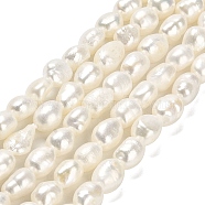 Natural Cultured Freshwater Pearl Beads Strands, Two Sides Polished, Grade 3A+, Beige, 7.5~8x6~6.5mm, Hole: 0.6mm, about 43pcs/strand, 13.39~13.58 inch(34~34.5cm)(PEAR-E016-110)