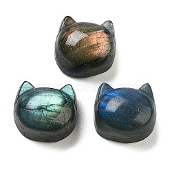 Natural Labradorite Cabochons, Cat Head, 15x15.5x10mm(G-C152-04)