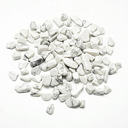 Natural Howlite Beads, No Hole/Undrilled, Chip, 5~20x5~10x3~10mm, about 42pcs/50g(X-G-Q947-23)