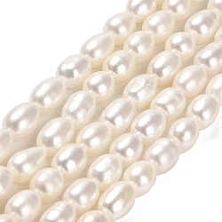 Natural Cultured Freshwater Pearl Beads Strands, Rice, Grade 4A+, PapayaWhip, 6~8.5x5~5.5mm, Hole: 0.7mm, about 52~55pcs/strand, 15.43~15.67 inch(39.2~39.8cm)(PEAR-E016-129)