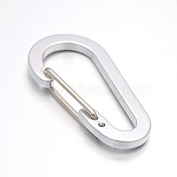 Aluminum Rock Climbing Carabiners, Key Clasps, Quick Links, with Iron Findings, Silver, 60.5x30.5x9mm(KEYC-O009-04C)