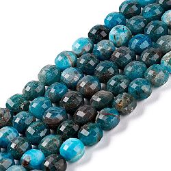 Natural Apatite Beads Strands, Faceted, Flat Round, 6x6~6.5x5mm, Hole: 0.9mm, about 64pcs/strand, 15.35''(39cm)(G-D0003-A84)