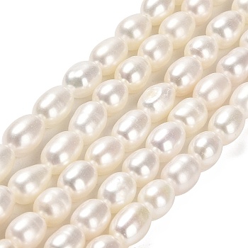 Natural Cultured Freshwater Pearl Beads Strands, Rice, Grade 4A+, PapayaWhip, 6~8.5x5~5.5mm, Hole: 0.7mm, about 52~55pcs/strand, 15.43~15.67 inch(39.2~39.8cm)