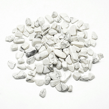 Natural Howlite Beads, No Hole/Undrilled, Chip, 5~20x5~10x3~10mm, about 42pcs/50g