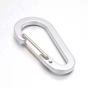 Aluminum Rock Climbing Carabiners, Key Clasps, with Iron Findings, Silver, 60.5x30.5x9mm