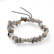 Chip Natural Labradorite Stretch Bracelets, with Alloy Round Beads, Antique Silver, 1-7/8 inch(4.9cm)(BJEW-JB04564-01)
