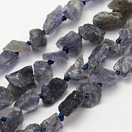 Rough Raw Natural Kyanite/Cyanite/Disthene Beads Strands, Nuggets, 5~10x5~8mm, Hole: 1mm, about 49~53pcs/strand, 15.7 inch(39.9cm)(G-K202-15)