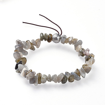 Chip Natural Labradorite Stretch Bracelets, with Alloy Round Beads, Antique Silver, 1-7/8 inch(4.9cm)