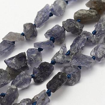 Rough Raw Natural Kyanite/Cyanite/Disthene Beads Strands, Nuggets, 5~10x5~8mm, Hole: 1mm, about 49~53pcs/strand, 15.7 inch(39.9cm)