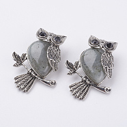 Natural Labradorite Pendants, with Alloy Finding, Owl, Antique Silver, 46.5x35.5x11.5mm, Hole: 6x8.5mm(G-E442-01B)