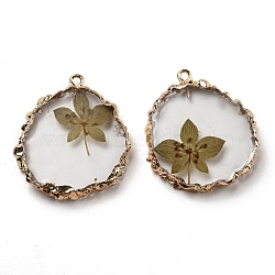 Inner Dried Flower Resin Pendants, Flat Round Charms with Light Gold Plated Brass Edge and Iron Loops, Dark Khaki, 34~36x30~31.5x4.5~5.5mm, Hole: 2mm(RESI-P028-02KCG-01)