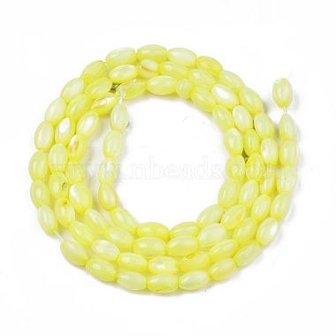 Chapelets de perles en coquille d'eau douce (SHEL-T009-B15-01)-2