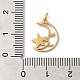 304 Stainless Steel Charms(STAS-K263-10G)-3