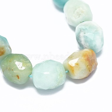Natural Amazonite Beads Strands(G-F632-18)-2