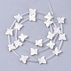 Natural White Shell Beads(X-SSHEL-S264-070)-2