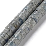 Natural Kyanite/Cyanite/Disthene Beads Strands, Flat Round/Disc, Heishi Beads, 6.5x3.5mm, Hole: 1mm, about 54~56pcs/strand, 7.60~7.72 inch(19.3~19.6cm)(G-F751-A01-01)