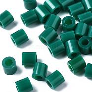 PE Fuse Beads, DIY Melty Beads, Tube, Medium Sea Green, 5x5mm, Hole: 3mm, about 8000pcs/500g(DIY-R013-44)