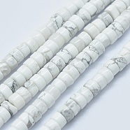 Natural Howlite Beads Strands, Flat Round/Disc, 3.8~4.2x2~4.5mm, Hole: 0.8~1mm, about 152~180pcs/strand, 15.1~15.5 inch(38.5~39.5cm)(G-F631-A03)