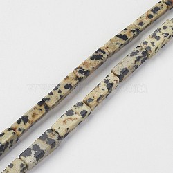 Natural Dalmatian Jasper Beads Strands, Cuboid, 13~13.5x3~5x3~5mm, Hole: 0.5mm, about 29~31pcs/strand, 15.3~15.7 inch(390~400mm)(X-G-G968-D10)