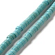 Synthetic Turquoise Dyed Beads Strands(G-E594-20A)-1