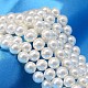 Round Shell Pearl Bead Strands(X-BSHE-L011-6mm-A013)-1