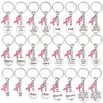 24Pcs 12 Style Alloy Keychain, with Iron Rings, October Breast Cancer Pink Awareness Ribbon, Antique Silver & Platinum, 70~75mm, 2pcs/style(KEYC-PH01551)