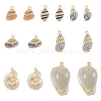14Pcs 7 Styles Electroplated Natural Mixed Shell Pendants, Shell Shape Charms, with Brass Findings, Golden, Golden, 13~32x8.5~18x7~16mm, Hole: 1.4~1.8mm, 2pcs/style(BSHE-TA0001-34A)