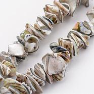 Natural Shell Bead Strands, Dyed, Nuggets, Light Grey, 10~20x8~12x3~6mm, Hole: 1mm, about 15.7 inch(BSHE-P010-08)