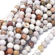 Natural Ocean Jasper Beads Strands, Round, 8~8.5mm, Hole: 1mm, about 46~49pcs/strand, 15.55 inch(39.5cm)(G-O201A-15B)