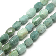 Natural Amazonite Crystal Beads Strands, Faceted, Oval, 17~23x13~17x13~17mm, Hole: 1mm, about 19pcs/strand, 15.7 inch(G-R425-15)