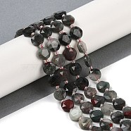 Natural Afican Bloodstone Beads Strands, Faceted Pentagonal Cut, Flat Round, with Seed Beads, 10~10.5x5~6mm, Hole: 1mm, about 32~33pcs/strand, 15.75''(40cm)(G-C116-A32-01)